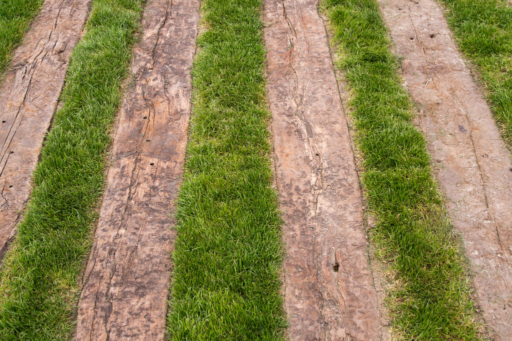 Railway Sleepers In Grass