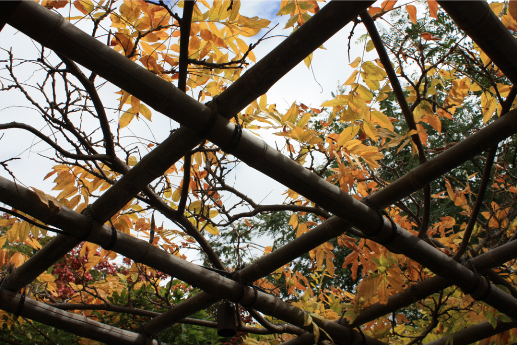 Autumn Garden Structure